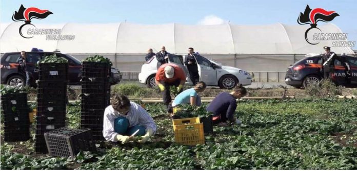 I CC a tutela del lavoro (3)