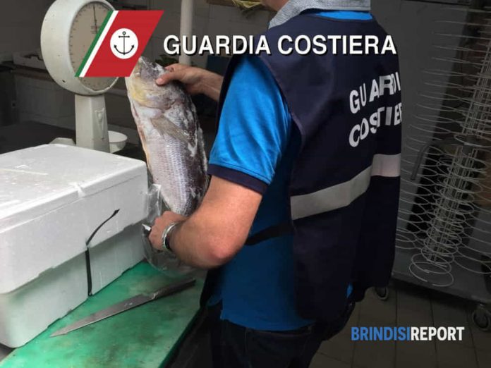Sequestro Capitaneria di Porto