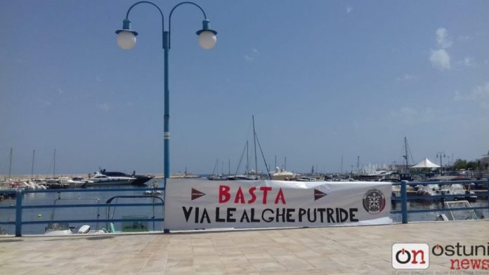 8538d2ae-efb9-4b0f-817c-7352984dfdd2