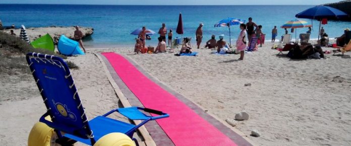 90cbd3e7-9067-4d37-ad13-a8ff279a5fa1_1200x500_0.5x0.5_1_crop