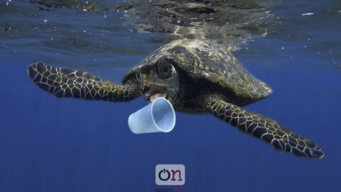 Vietata la plastica nei lidi pugliesi