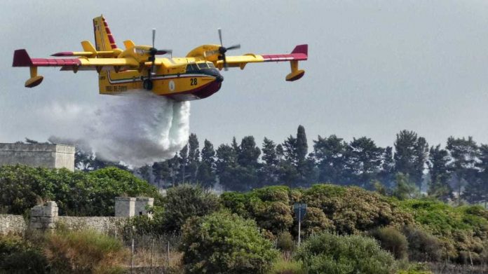 Torre Guaceto canadair