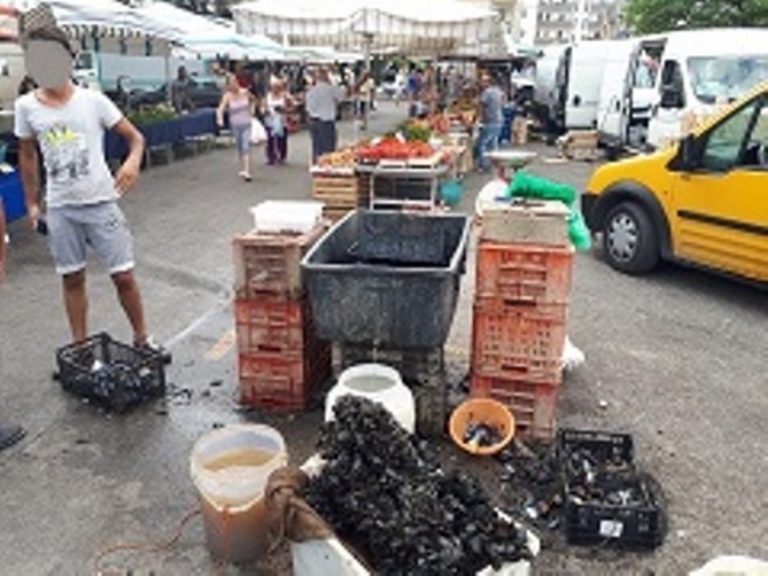 Mitili non tracciati al mercato di Ostuni: Forestali e ASL ne sequestrano 120Kg e denunciano il commerciante