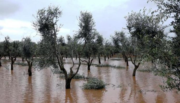 allagamenti