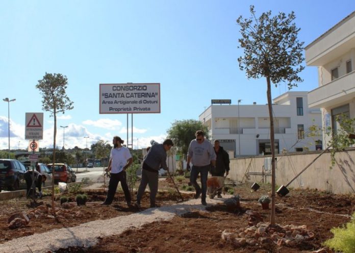 consulta santa caterina