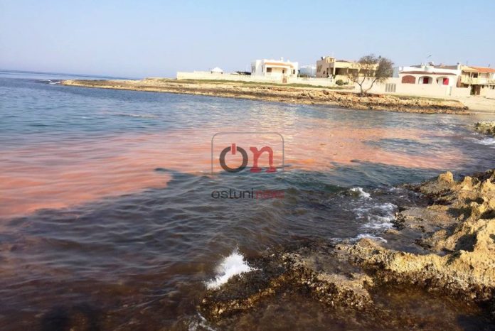 diana marina chiazza mare