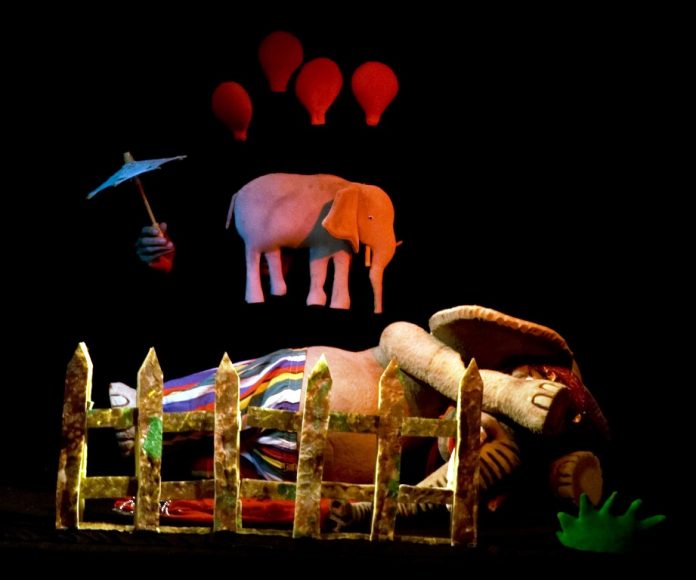 l'elefante smemorato1