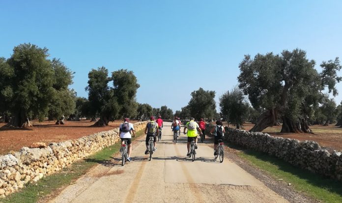 piano mobilità ciclistica e ciclopedonale_via traiana