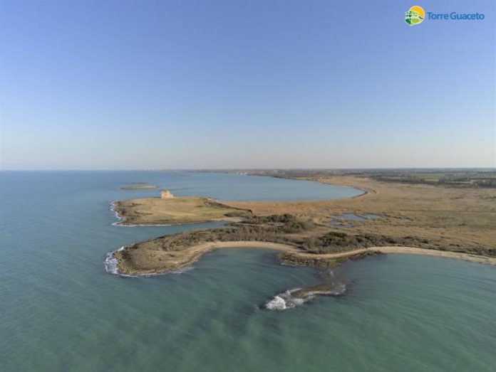 torre guaceto