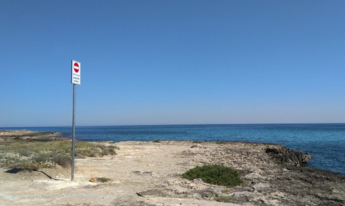 diana marina cartelli 2