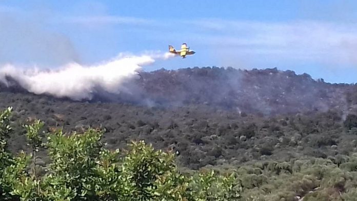incendio colli ostuni 4