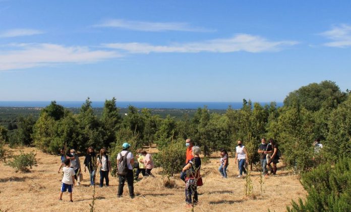 WhatsApp Image 2021-10-28 at 16.34.42