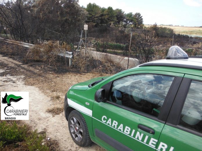 Campagna antincendio Brindisi 4