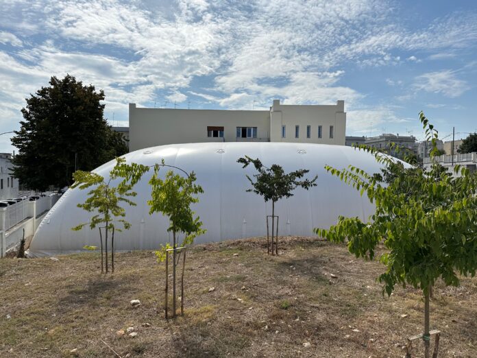 WhatsApp Image 2023-09-26 at 15.54.32