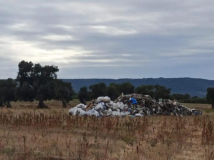 WhatsApp Image 2023-11-21 at 16.11.30