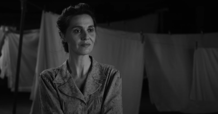 ceancoradomani-6544c4e949681