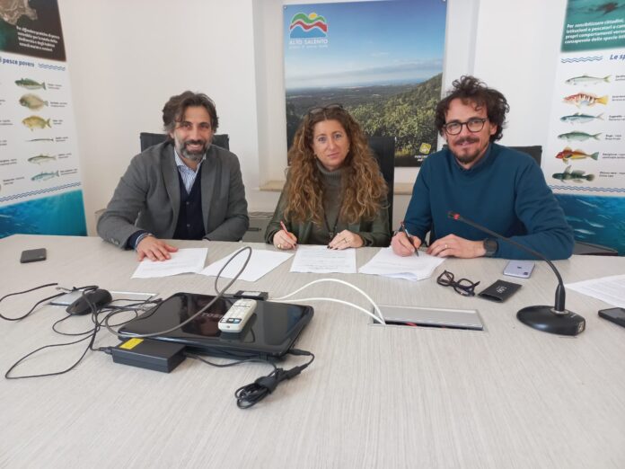 WhatsApp Image 2024-02-13 at 14.01.44