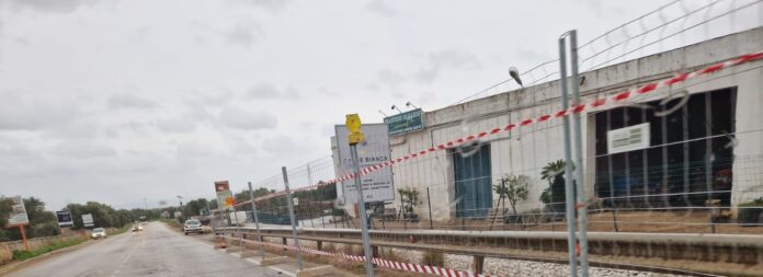 WhatsApp Image 2024-03-04 at 16.21.28