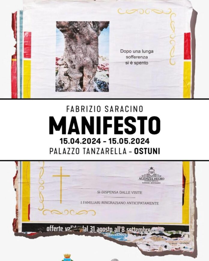 WhatsApp Image 2024-04-11 at 22.36.33