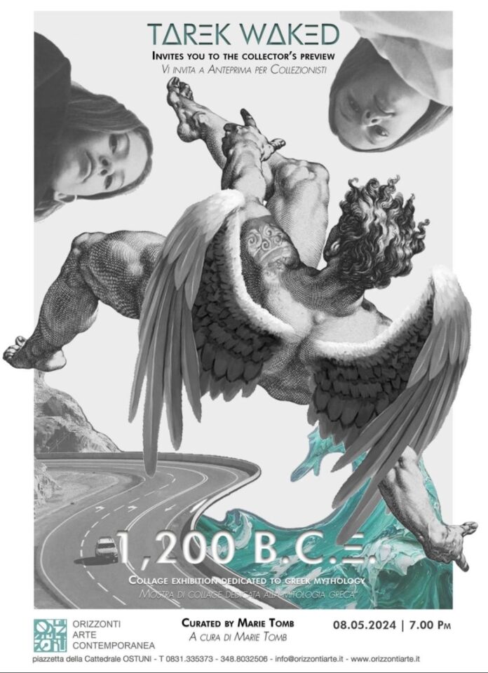 WhatsApp Image 2024-04-30 at 16.41.49