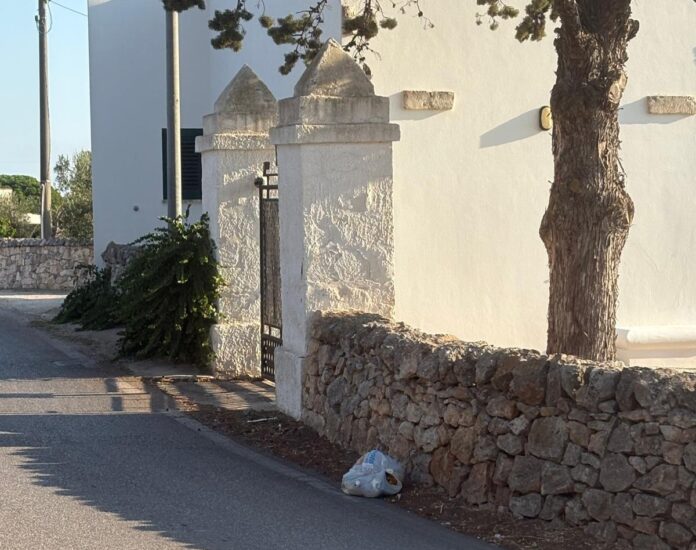 IMG-20250823-WA0054~2