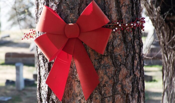 fiocco rosso donne rotary club ostuni