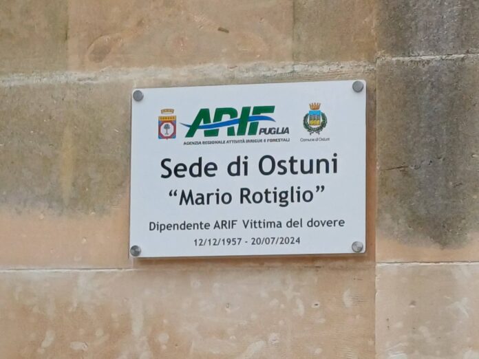 FB_IMG_1765711770223