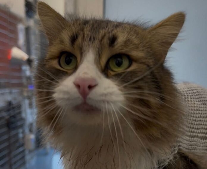 FB_IMG_1771243497073~2